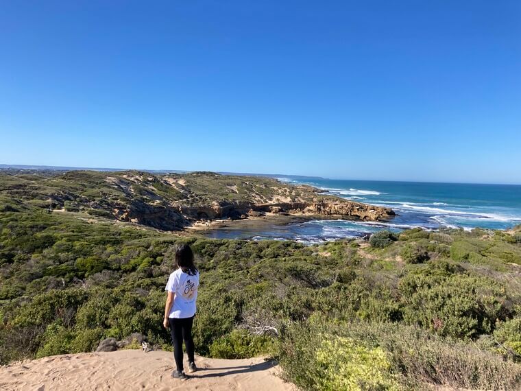 Adventure Mystery Picnic Melbourne WAM
