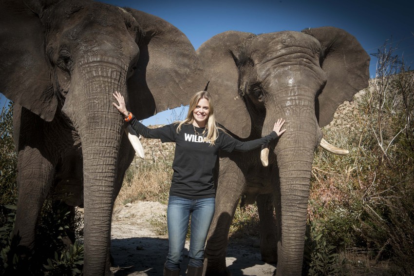 Kristin Bauer WildAid