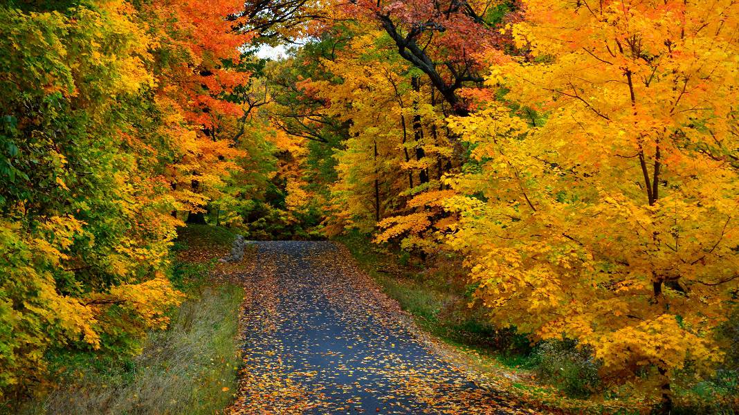 Wisconsin Cheese Trail Wild ATV