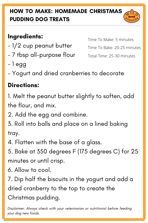 Can Dogs Eat Christmas Pudding