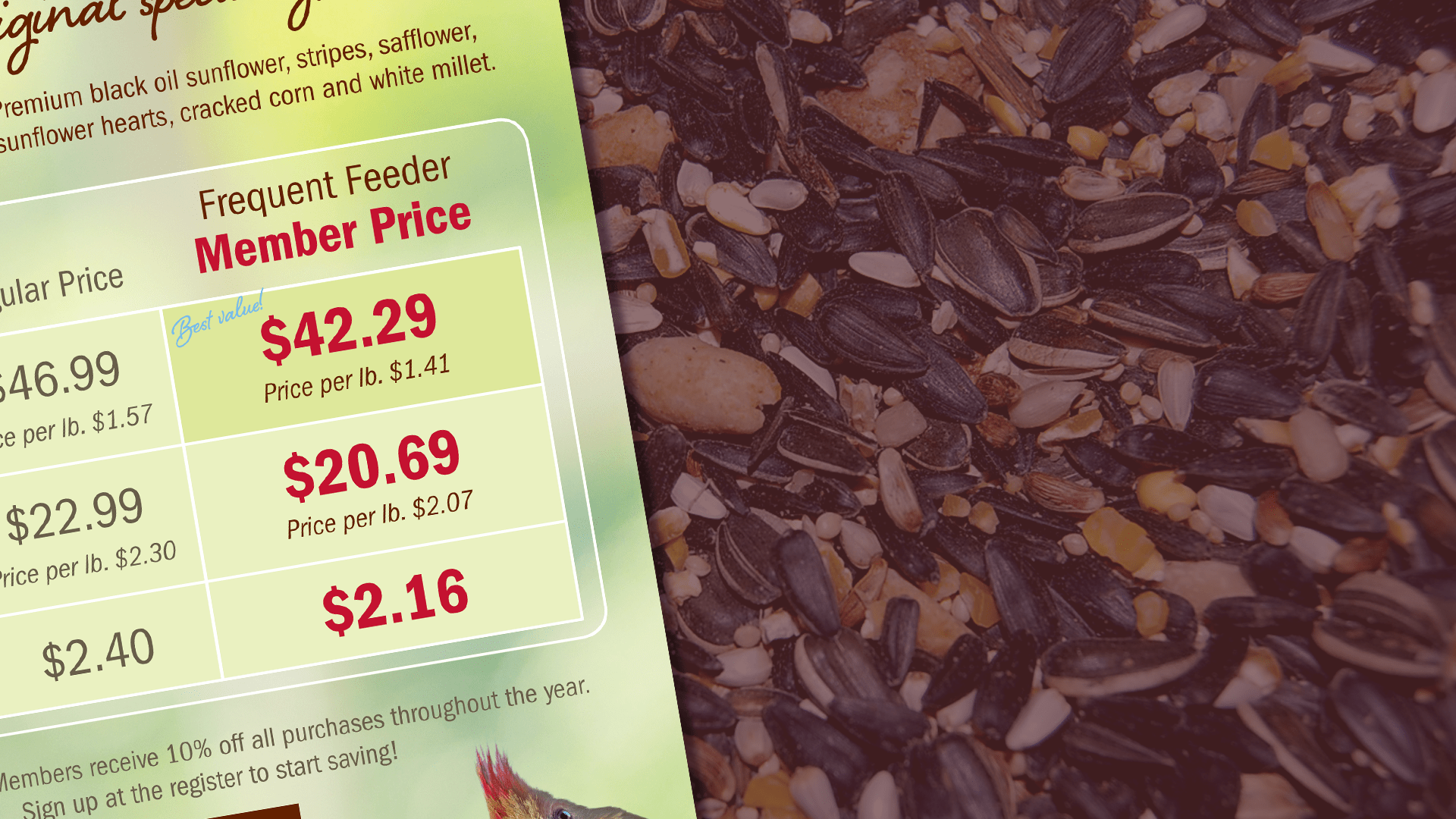 All Seasons Wild Bird Store