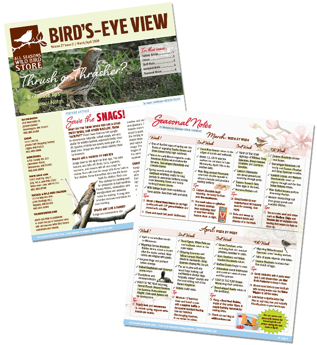 All Seasons Wild Bird Store