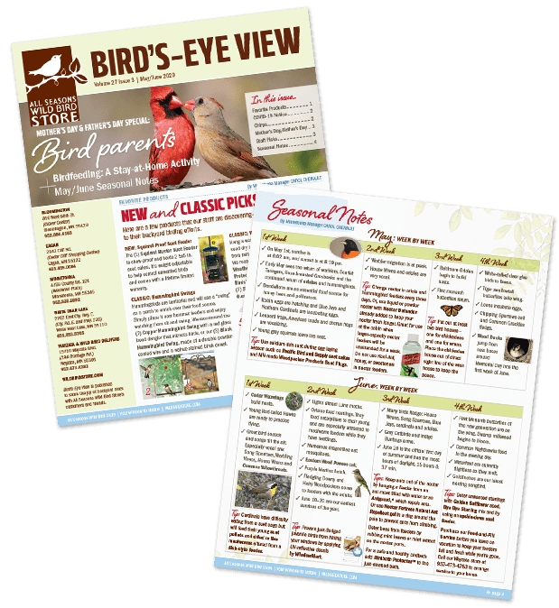 All Seasons Wild Bird Store