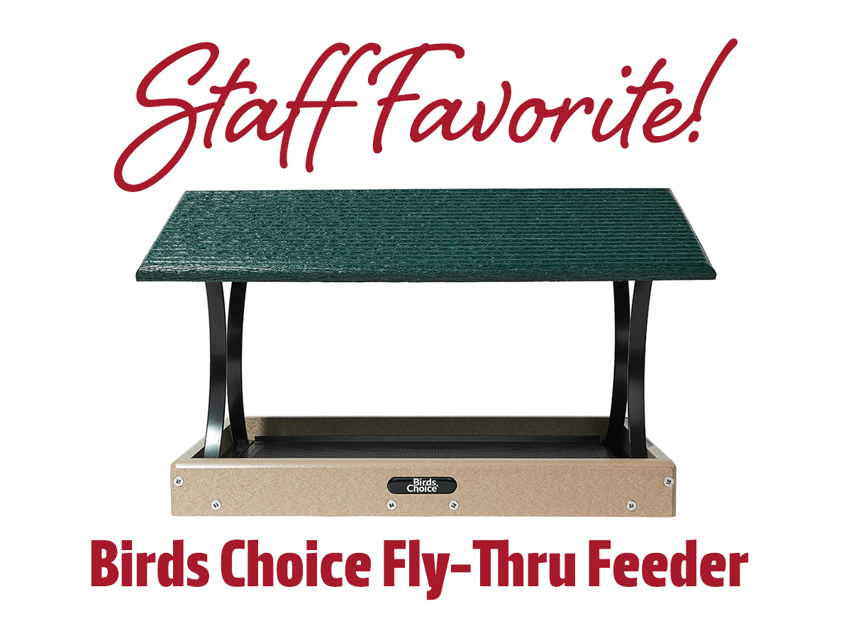 Staff Favorite Birds Choice Medium FlyThru Feeder All Seasons Wild