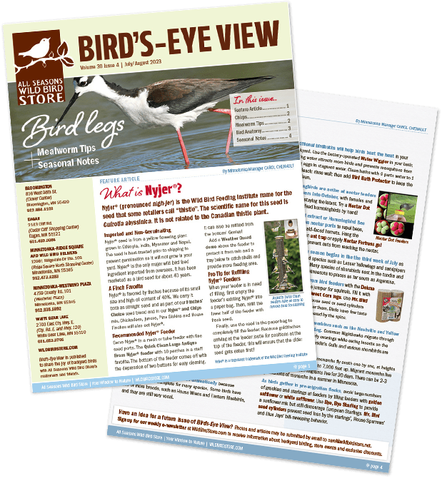 All Seasons Wild Bird Store