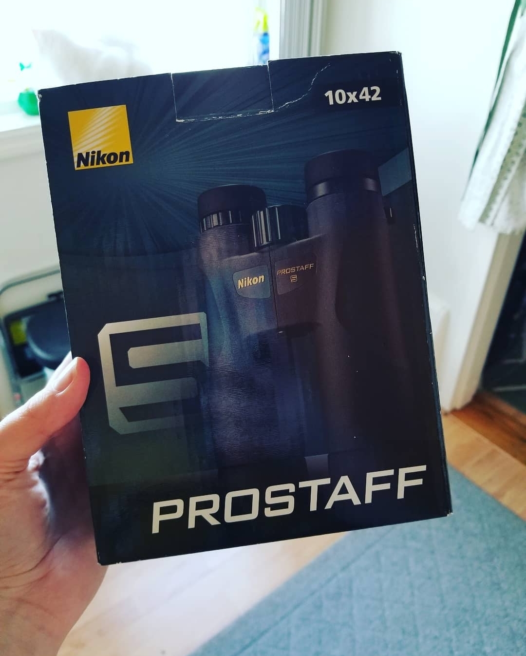 Dani's Birding Journey All Seasons Wild Bird Store