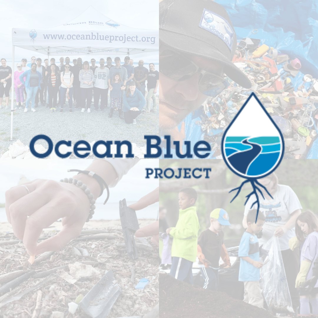 The Impact of Your Donation Ocean Blue Project