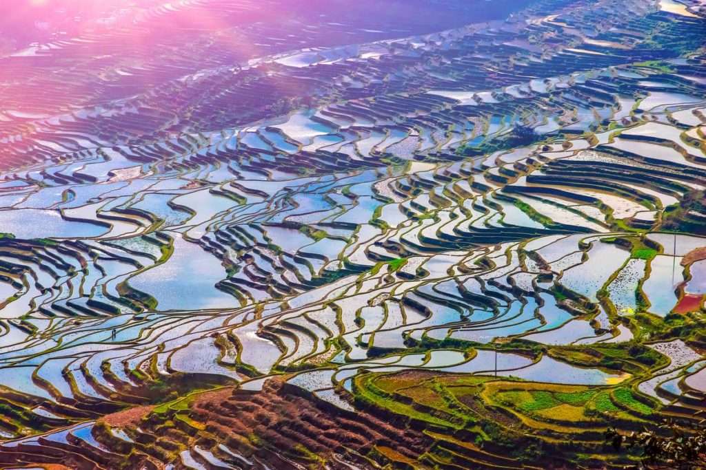 How to Visit China’s Rice Terraces WildChina