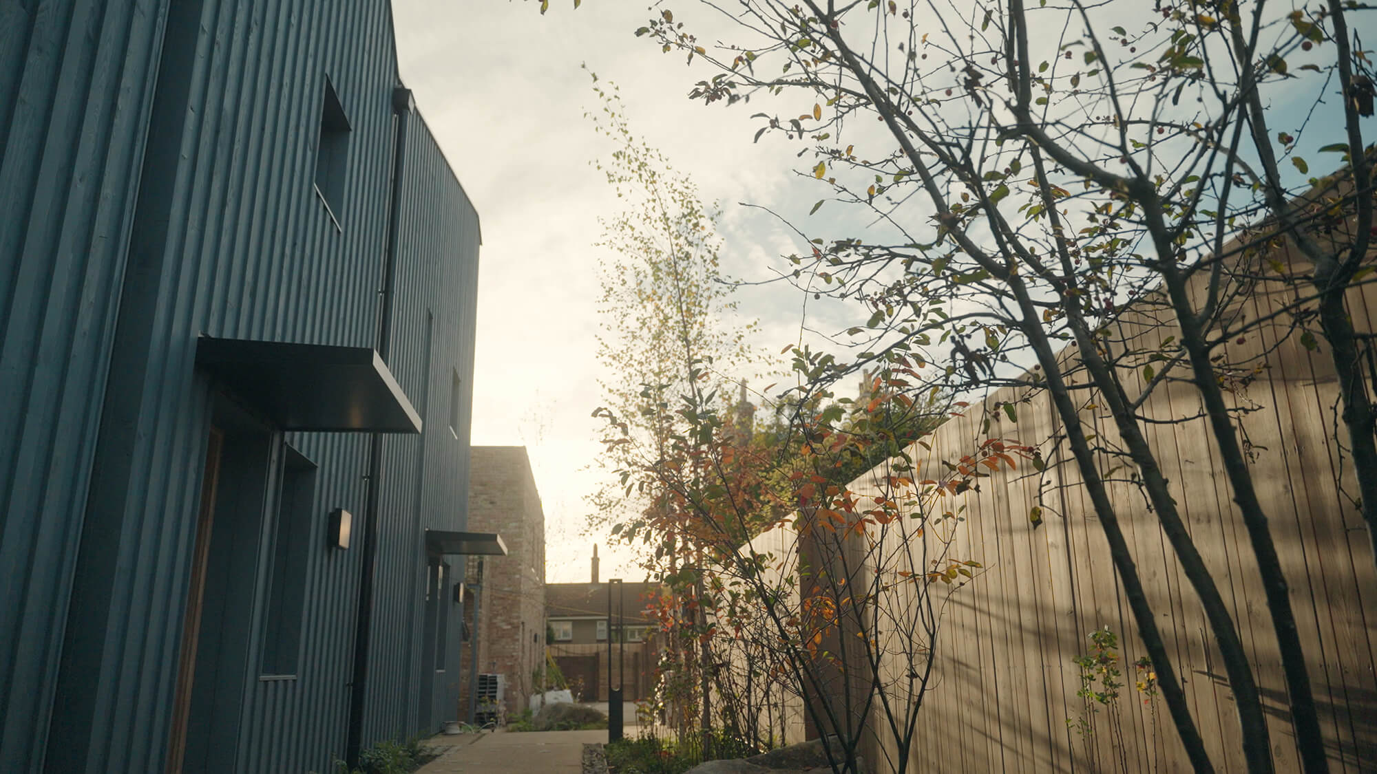 The Arbour Landscaping Orford RD Carbon Negative Landscape