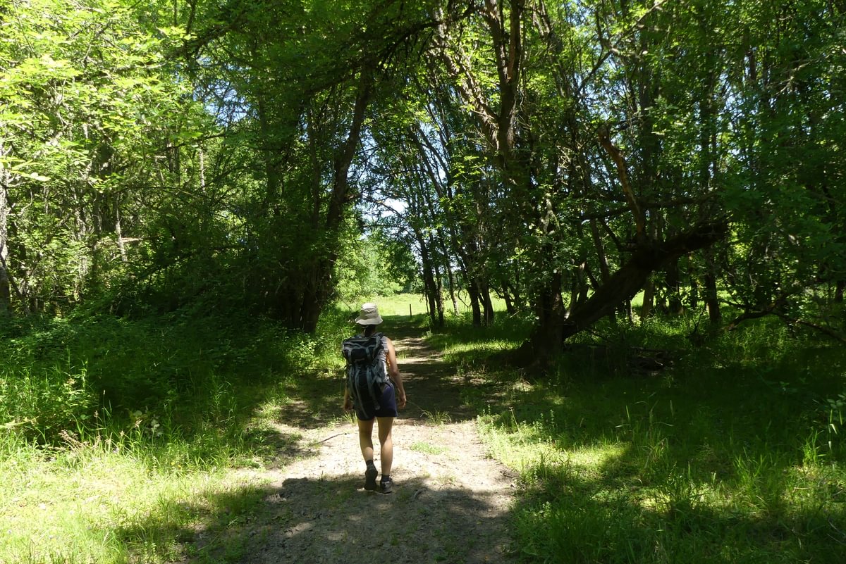 Trail near Mud Lake, Sauvie Island Wild Columbia County