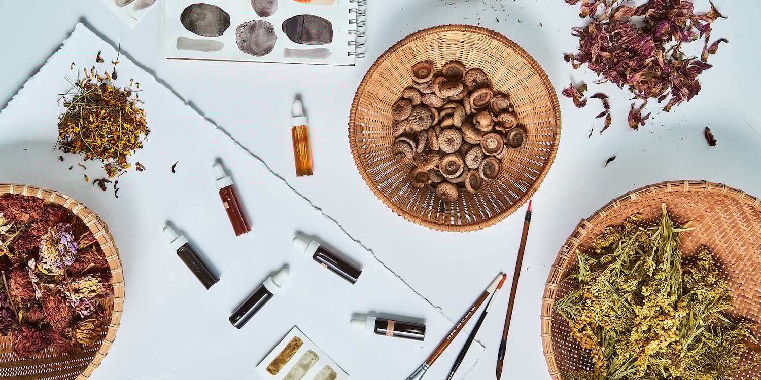 Botanical Inks From Blossom to Bottle WildCraft Studio School