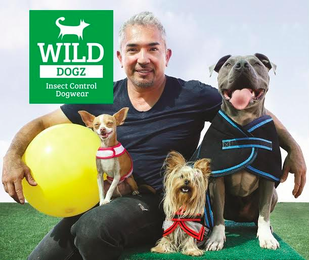 The Dog Whisperer WILD Dogz