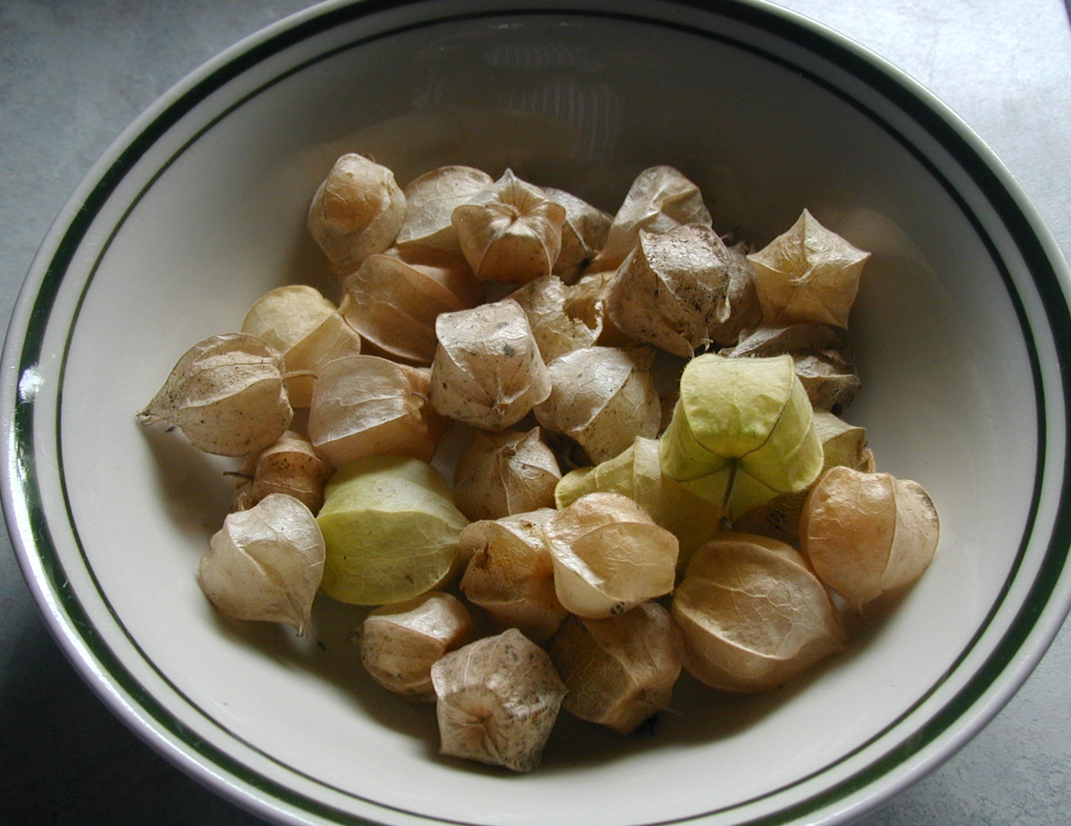 Ground Cherries Sweet Little Husk Tomatoes In A Paper Shell