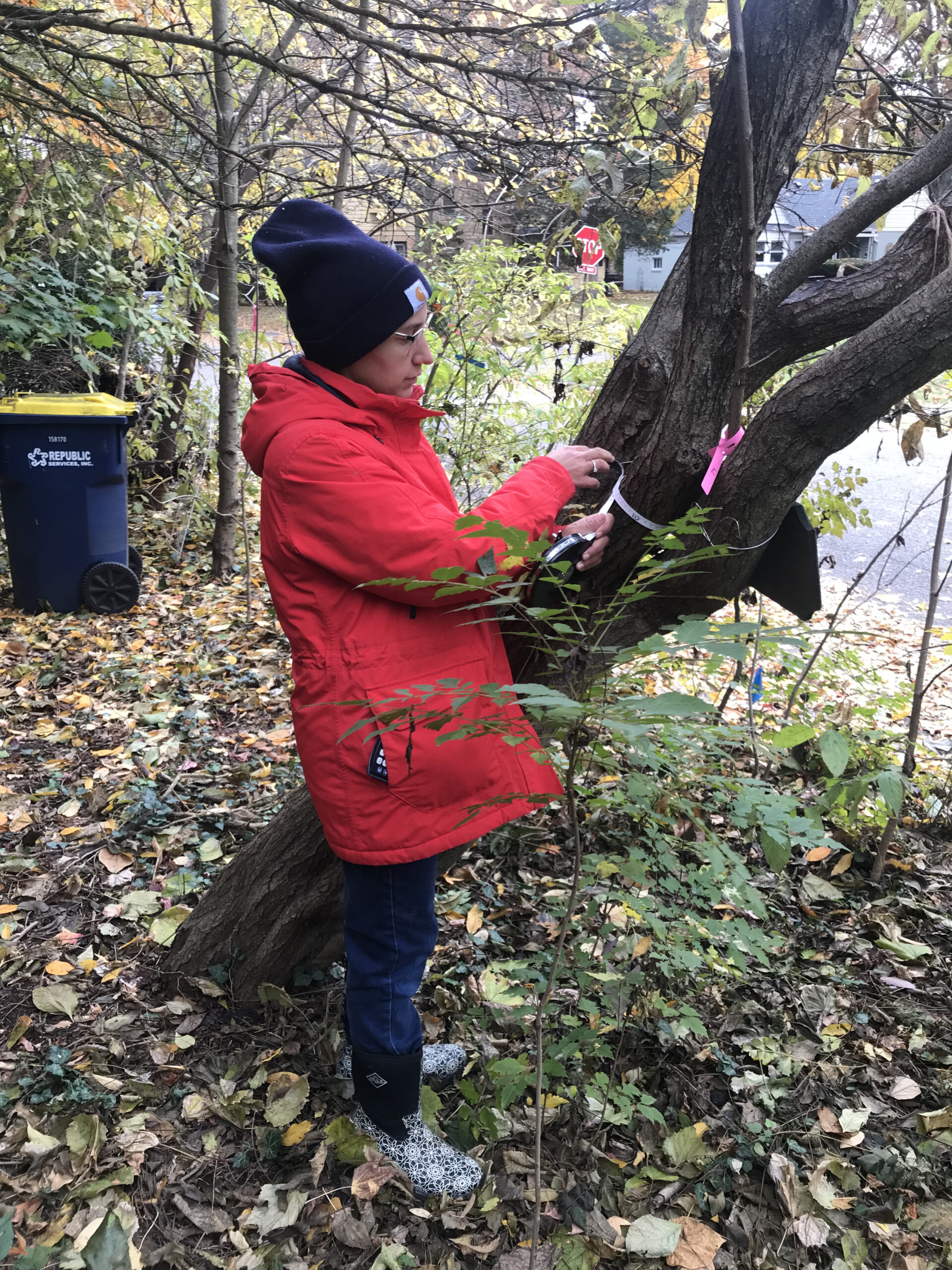 Tree Inventory Wildergarden