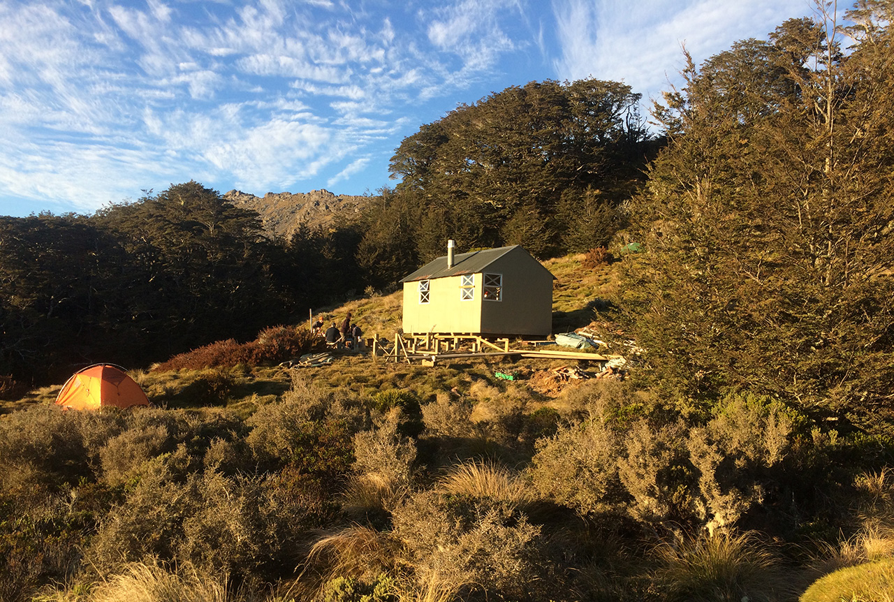 Mt Fell Hut via Timms Creek Track, Mt Richmond Forest Park Hiking