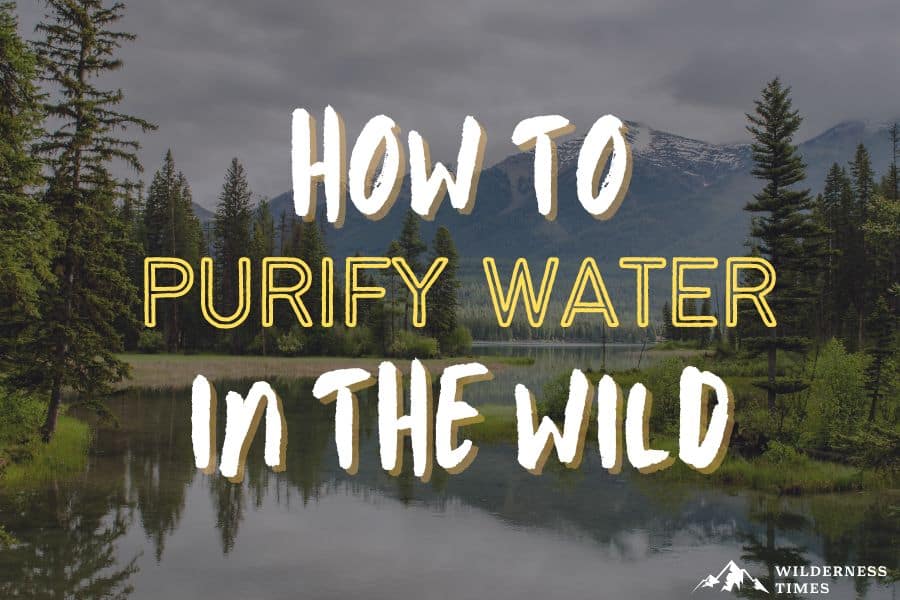 How To Purify Water In The Wild A Survival Guide