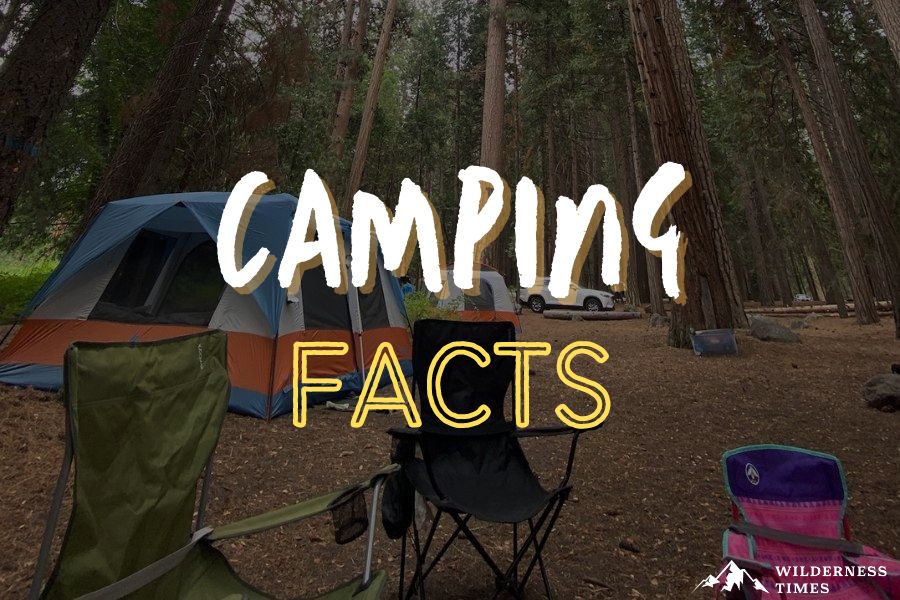 Camping Facts 75+ Interesting Facts About Camping