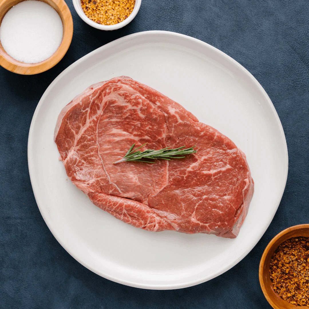 Wilders at the 2024 State Fair Highlights & Recap!