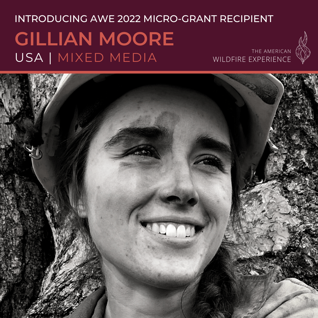 The American Wildfire Experience