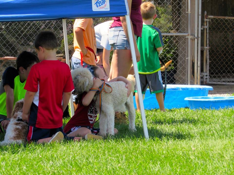 Youth Dog Training Camp with our poodle Dash