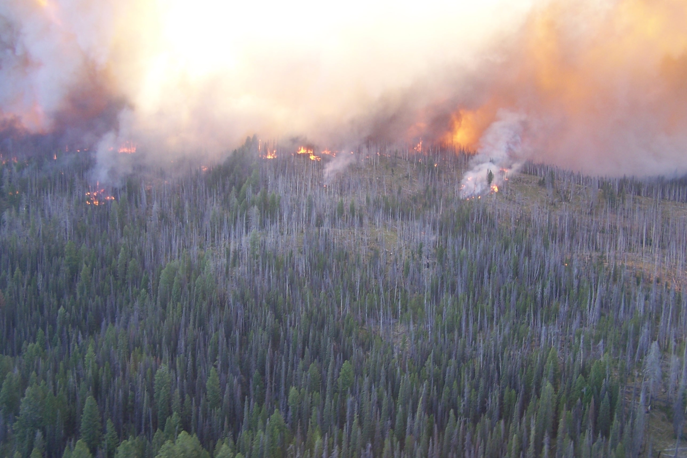 Idaho fire gets NIMO team Wildfire Today
