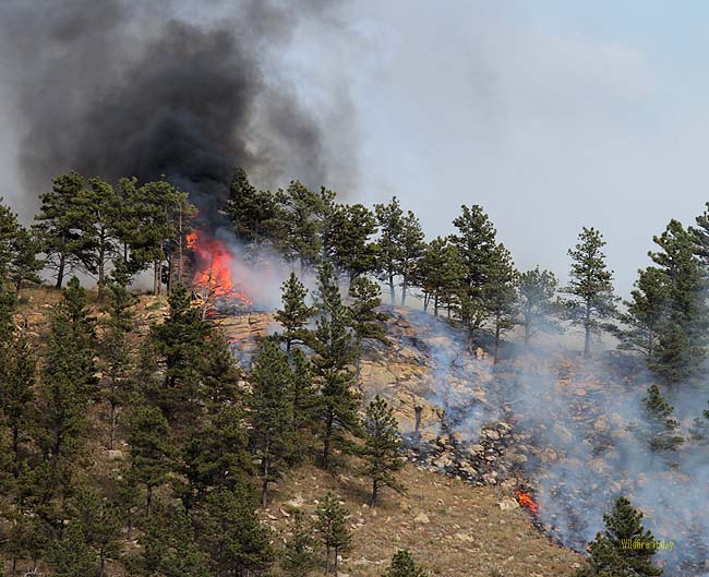 Cascade Fire 1 033 Wildfire Today