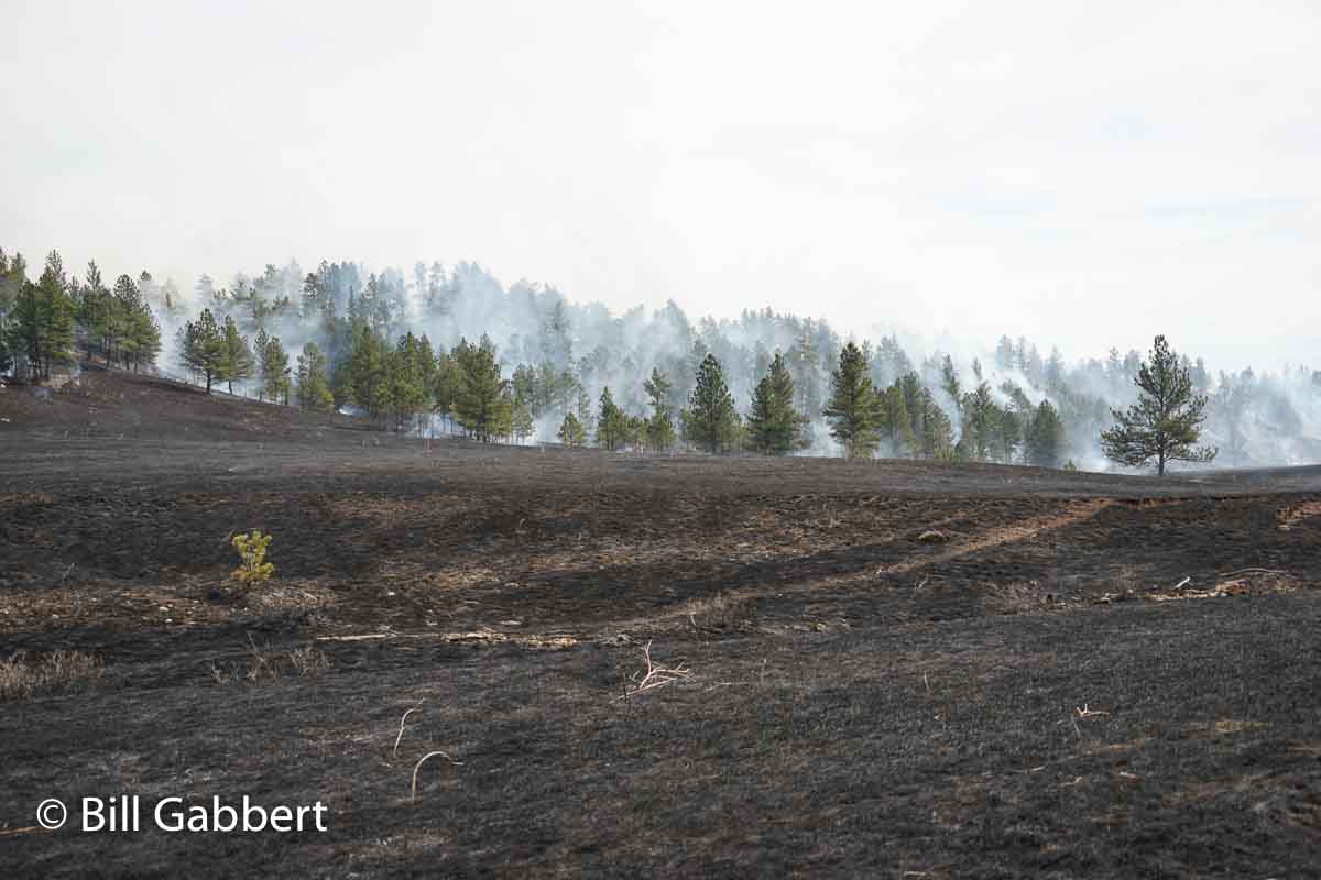 Pleasant Valley Rx Fire Archives Wildfire Today
