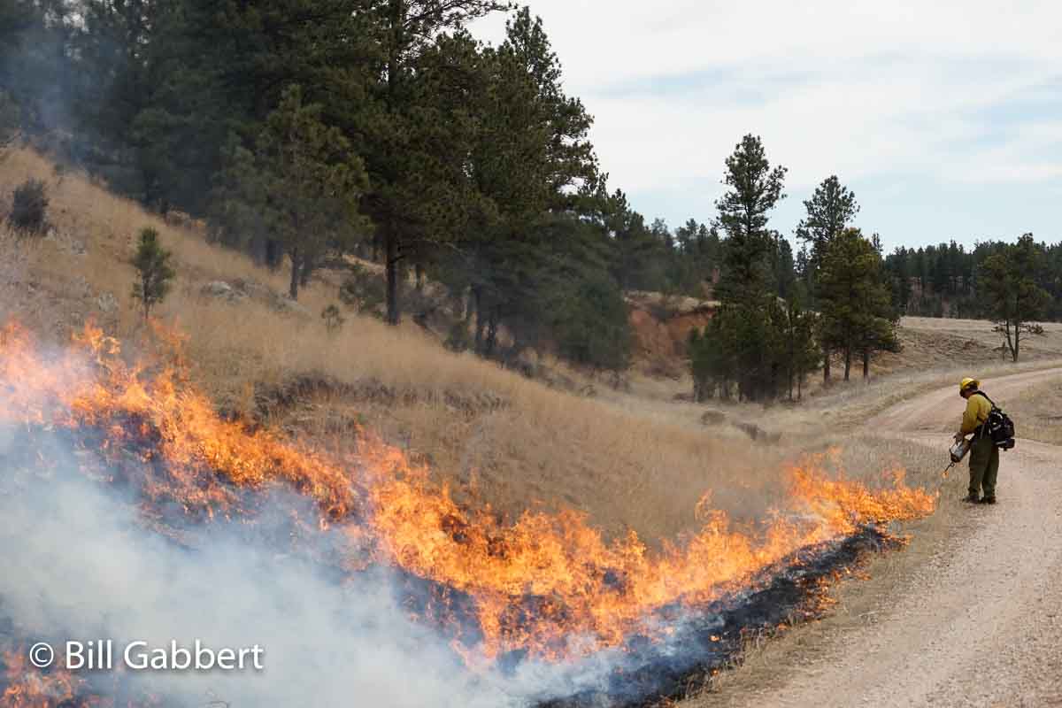 Pleasant Valley Rx Fire Archives Wildfire Today