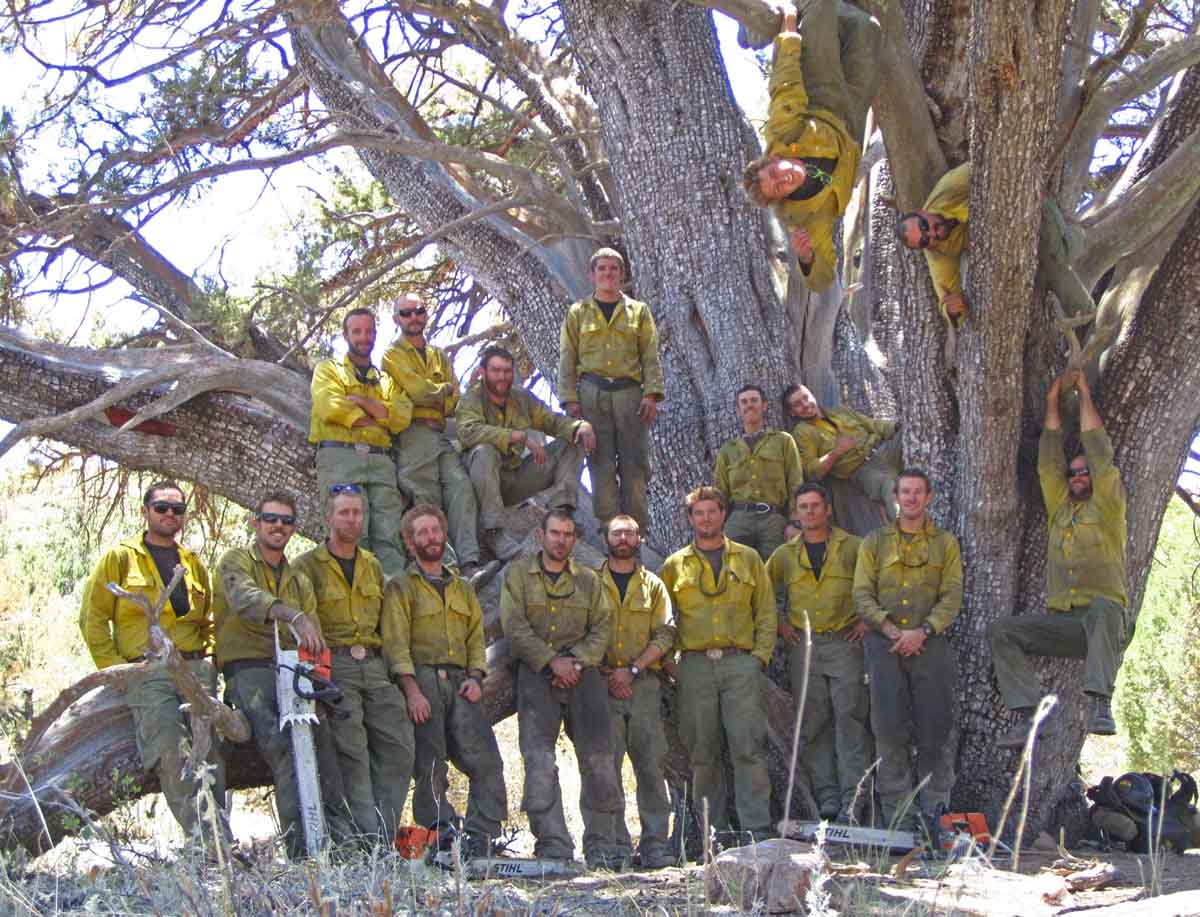 Lone survivor from Yarnell Hill Fire publishes book Wildfire Today