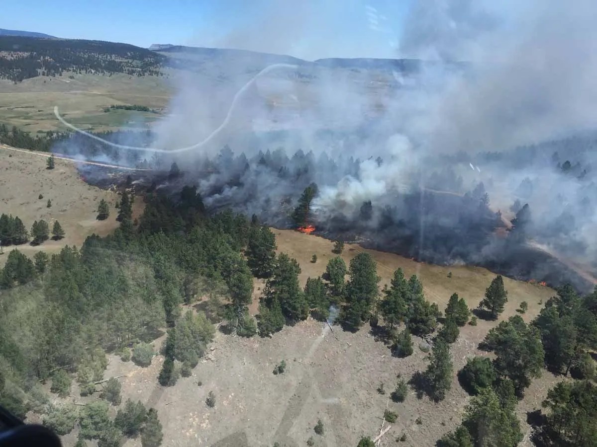 Douglas Fire photo gallery Wildfire Today