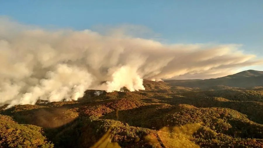Photos from the Rough Ridge Fire in Wildfire Today