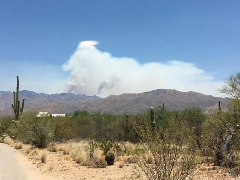 Burro fire near Tucson closes road to Mt. Lemmon Wildfire Today