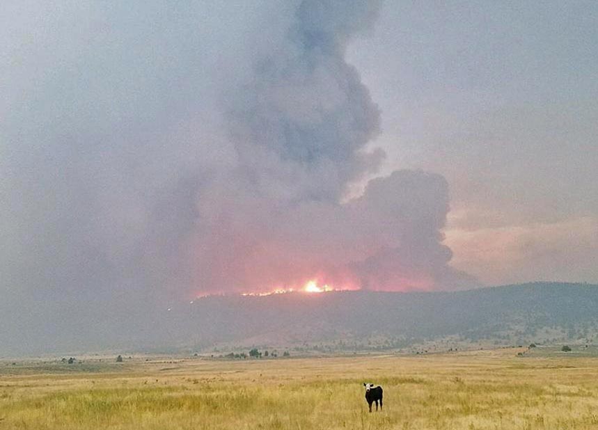 Cove Fire on Modoc NF doubles in size Wildfire Today