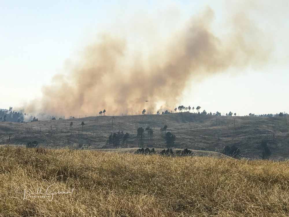 Rankin Fire burns hundreds of acres in Wind Cave NP Wildfire Today