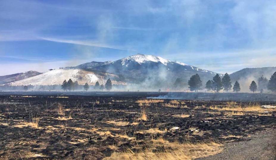 Drone catches fire, ignites wildfire north of Flagstaff Wildfire Today