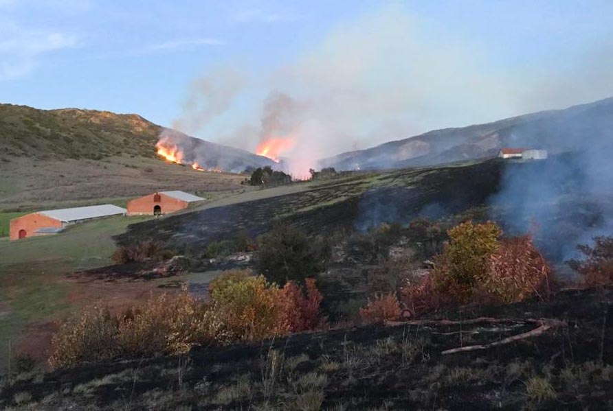 Santa Cruz Fire Archives Wildfire Today