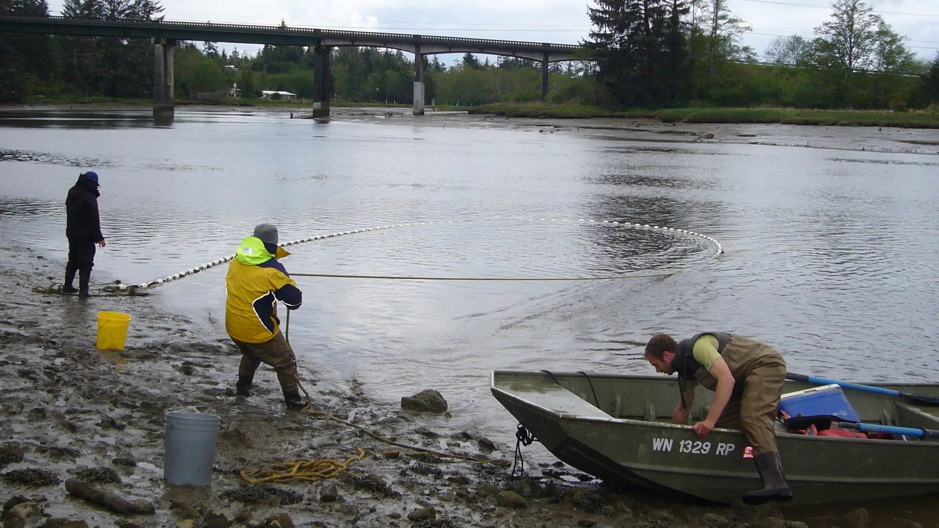 Grays Harbor Juvenile Fish Use Assessment Wild Fish Conservancy Northwest