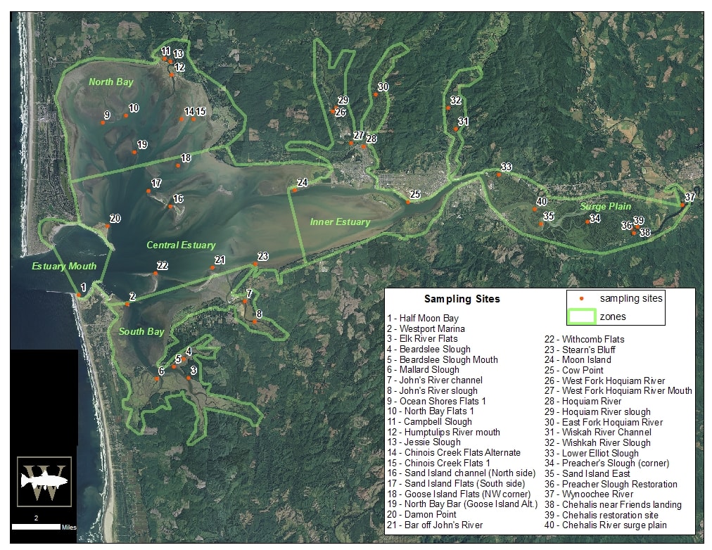 Grays Harbor Juvenile Fish Use Assessment Wild Fish Conservancy Northwest