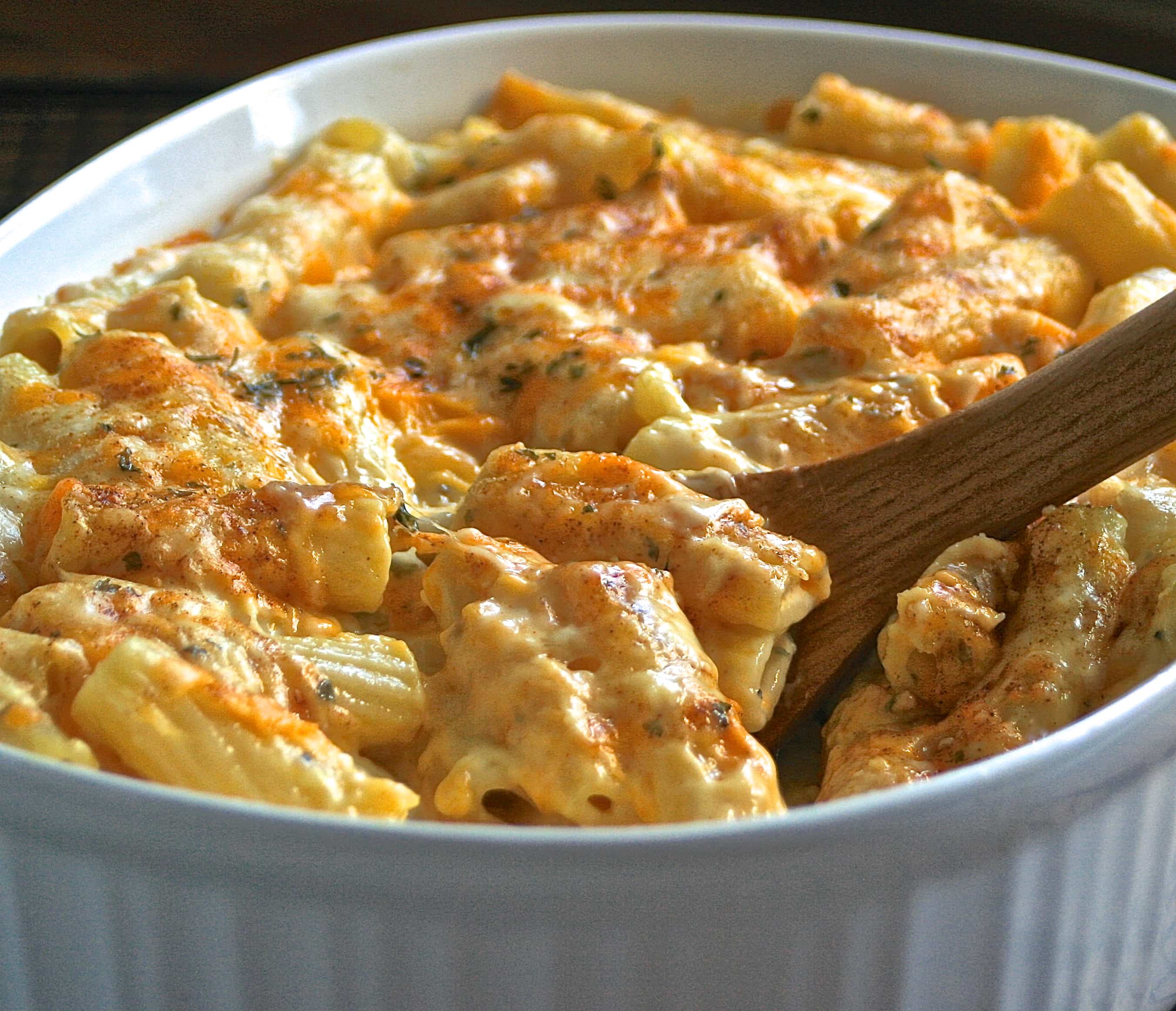 Adult 4Cheese Mac 'n Cheese with Rigatoni Wildflour's Cottage Kitchen