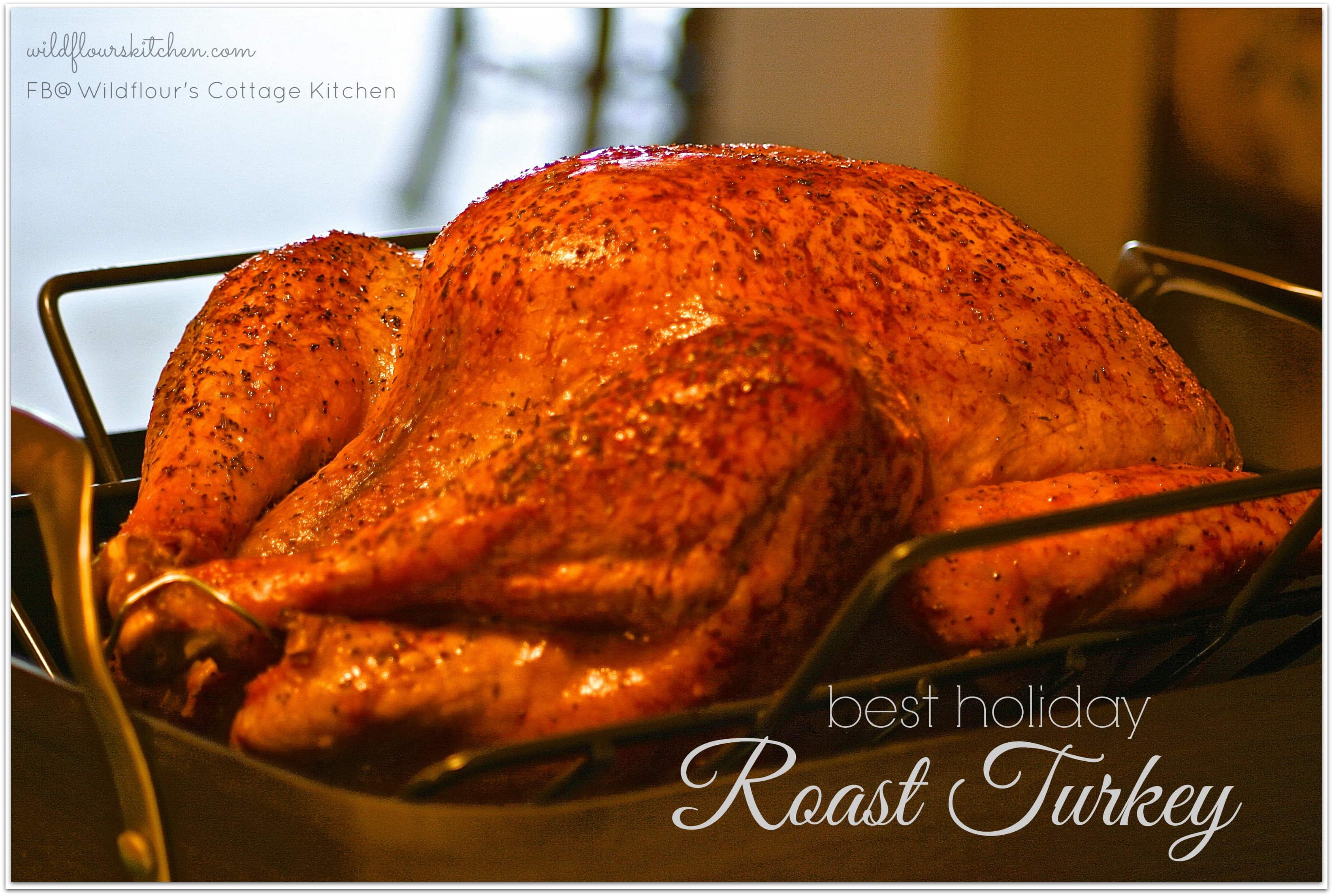 Best Thanksgiving & Holiday Roast Turkey (with MakeAhead Instructions
