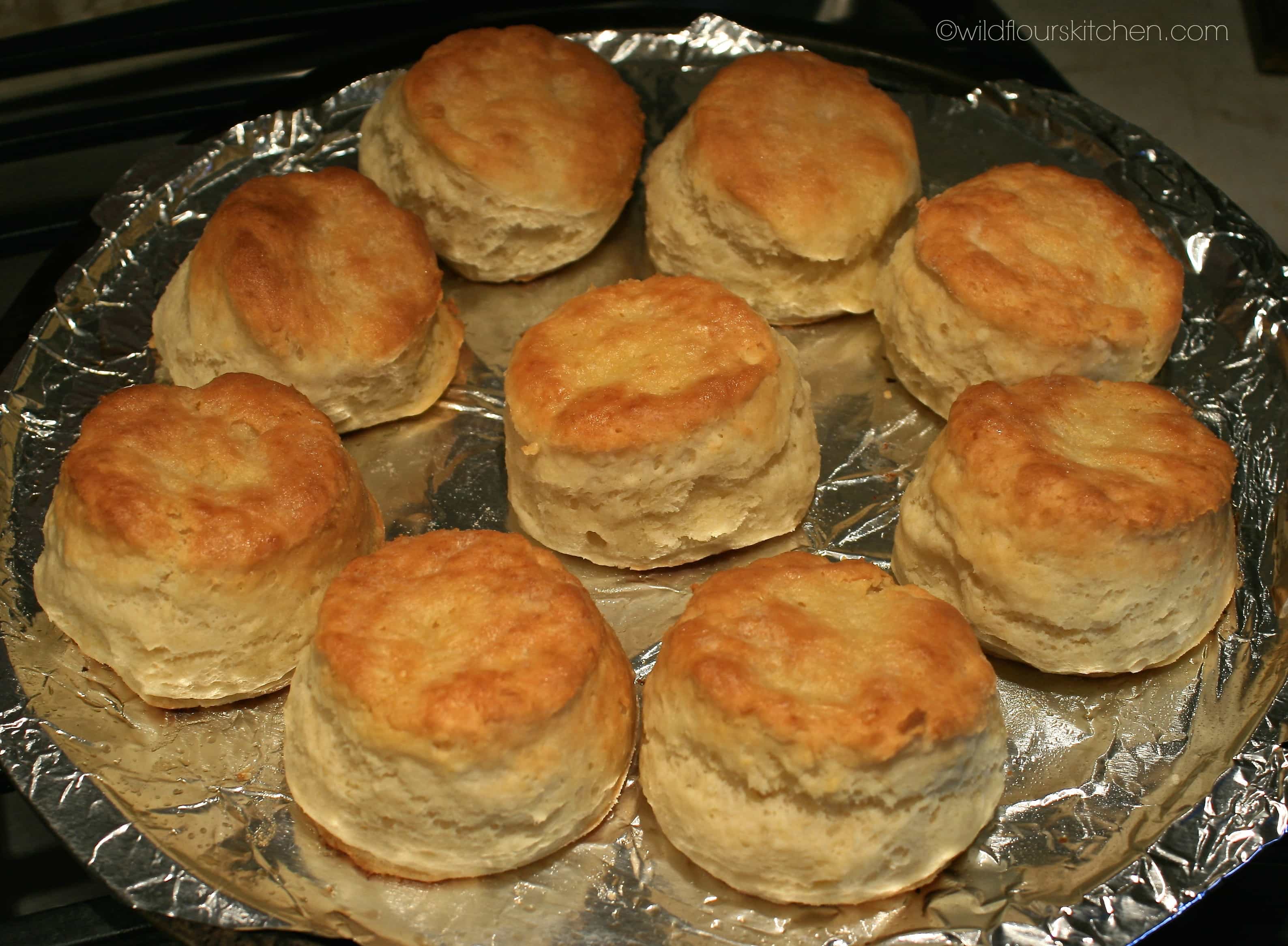 MileHigh NoFail Sour Cream Biscuits Wildflour's Cottage Kitchen