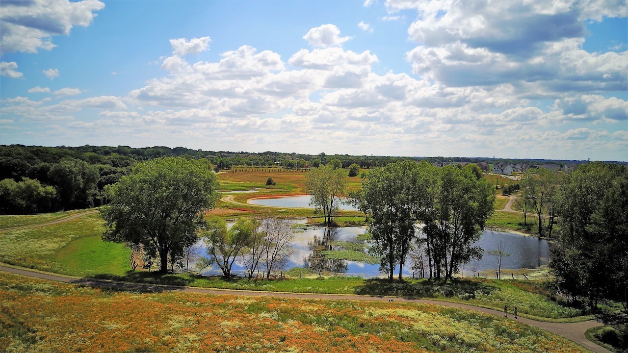 Wildflower at Lake Elmo A New MasterPlanned Neighborhood in Lake Elmo, Minnesota