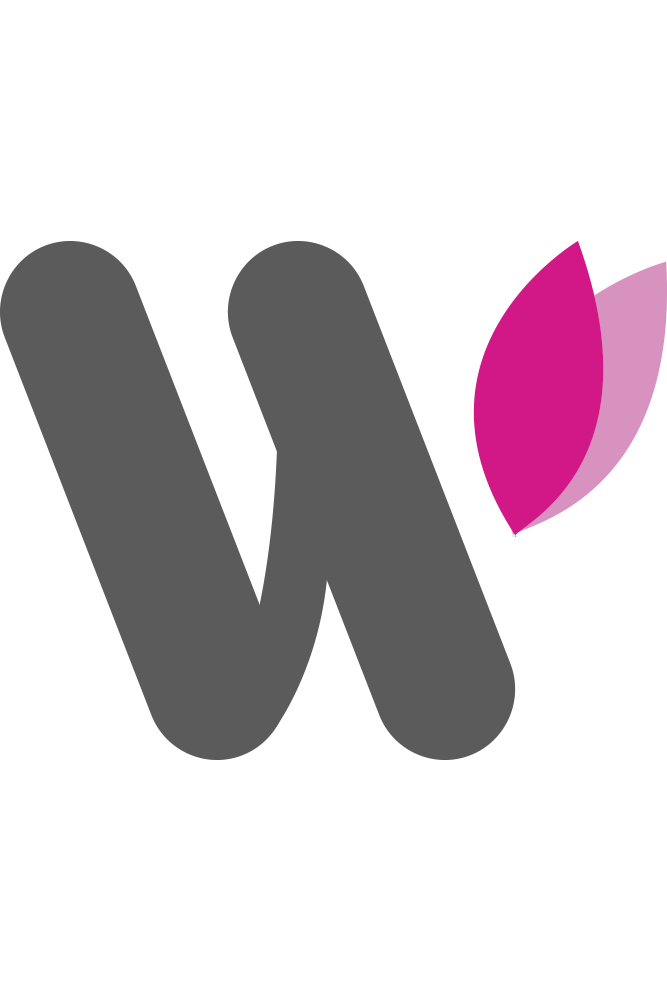 Dolly Parton Wildflower Entertainment