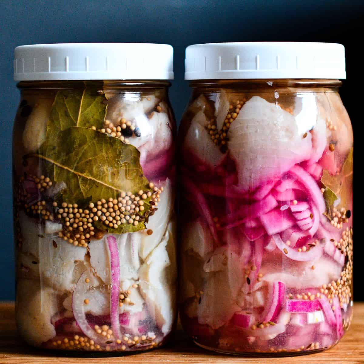 The Best Pickled Northern Pike Recipe Wild Game & Fish