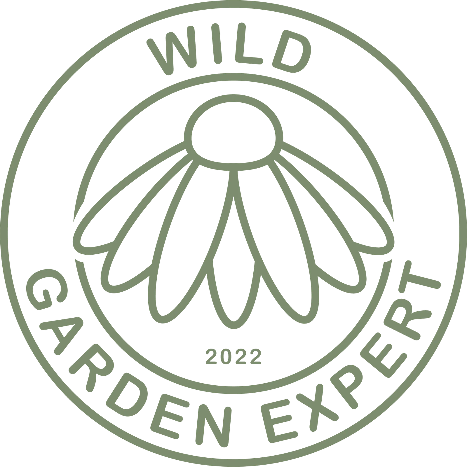 How to Make Wildflower Seed Bombs A Step by Step Guide Wild Garden Expert