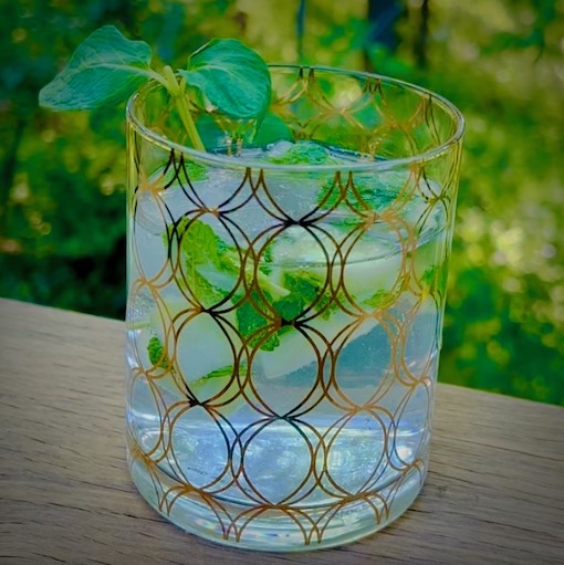 How to Drink WildGins Co.