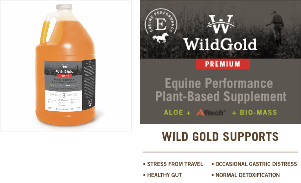 Wild Gold Premium ColdPressed Camelina Oil Equine 1 Gal Wild Gold