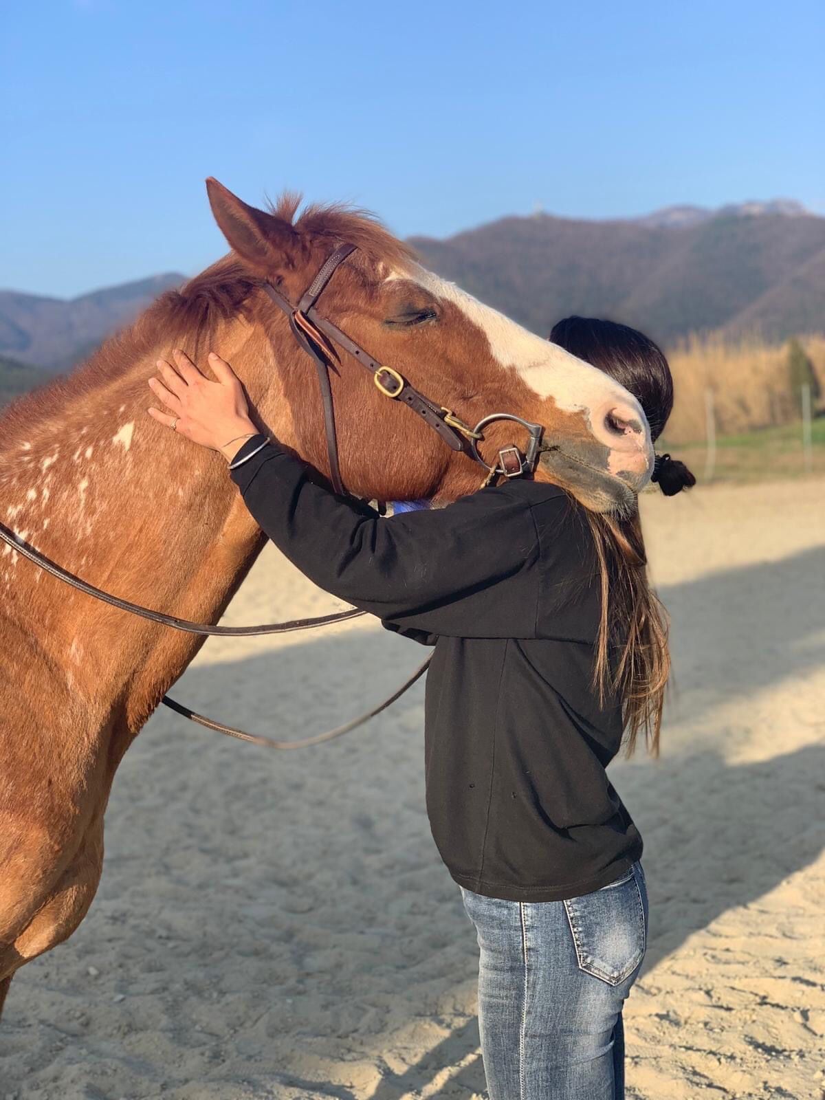 A.S.D. WILD HORSES RANCH maneggio cavalli Luni
