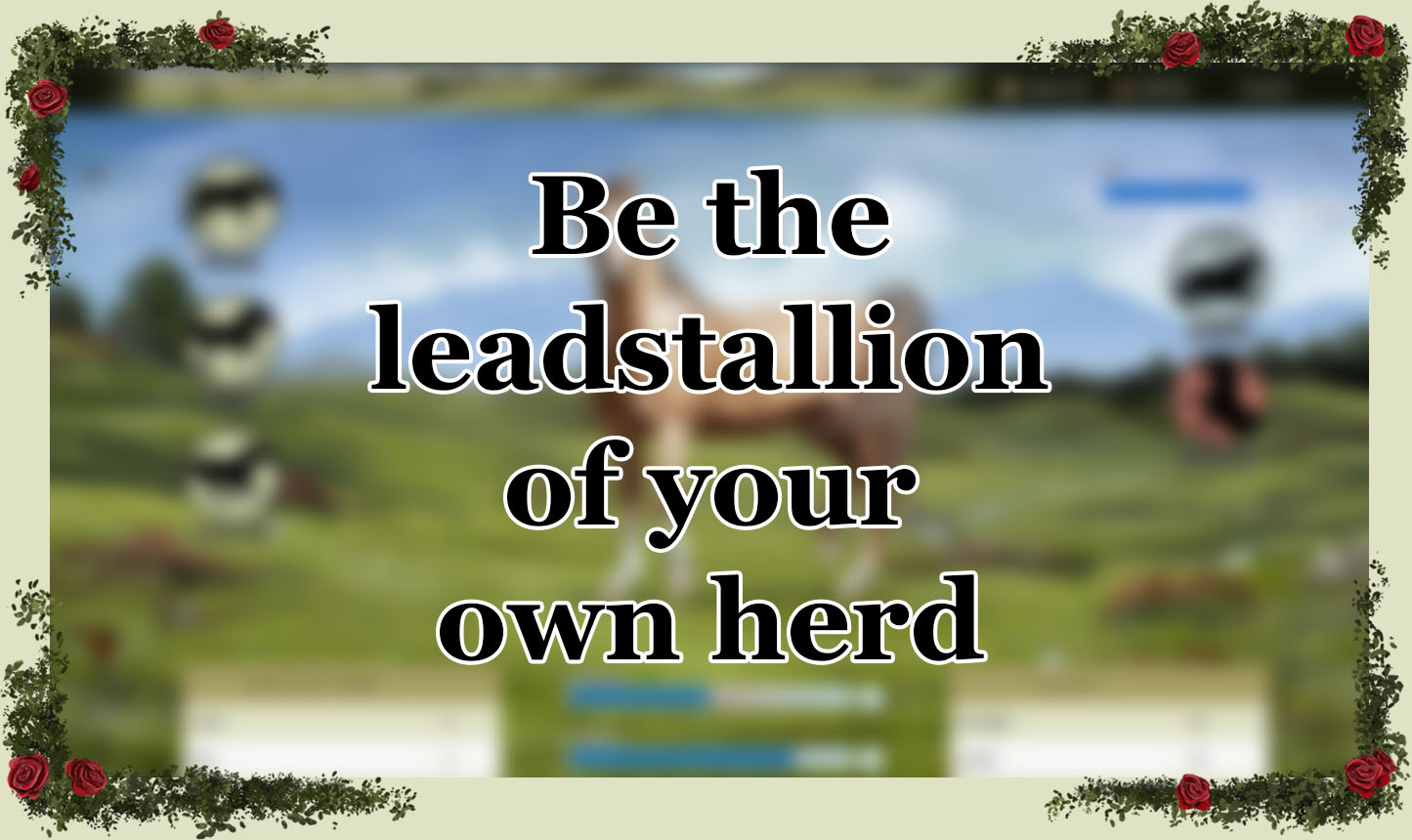 Wild Horse`s Valley © Freedom for horses