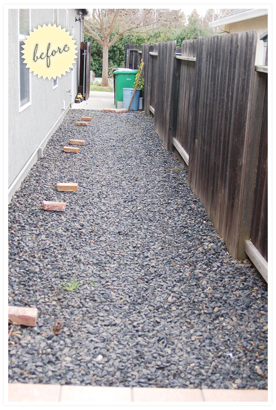 side yard gravel to garden. Wild Ink Press